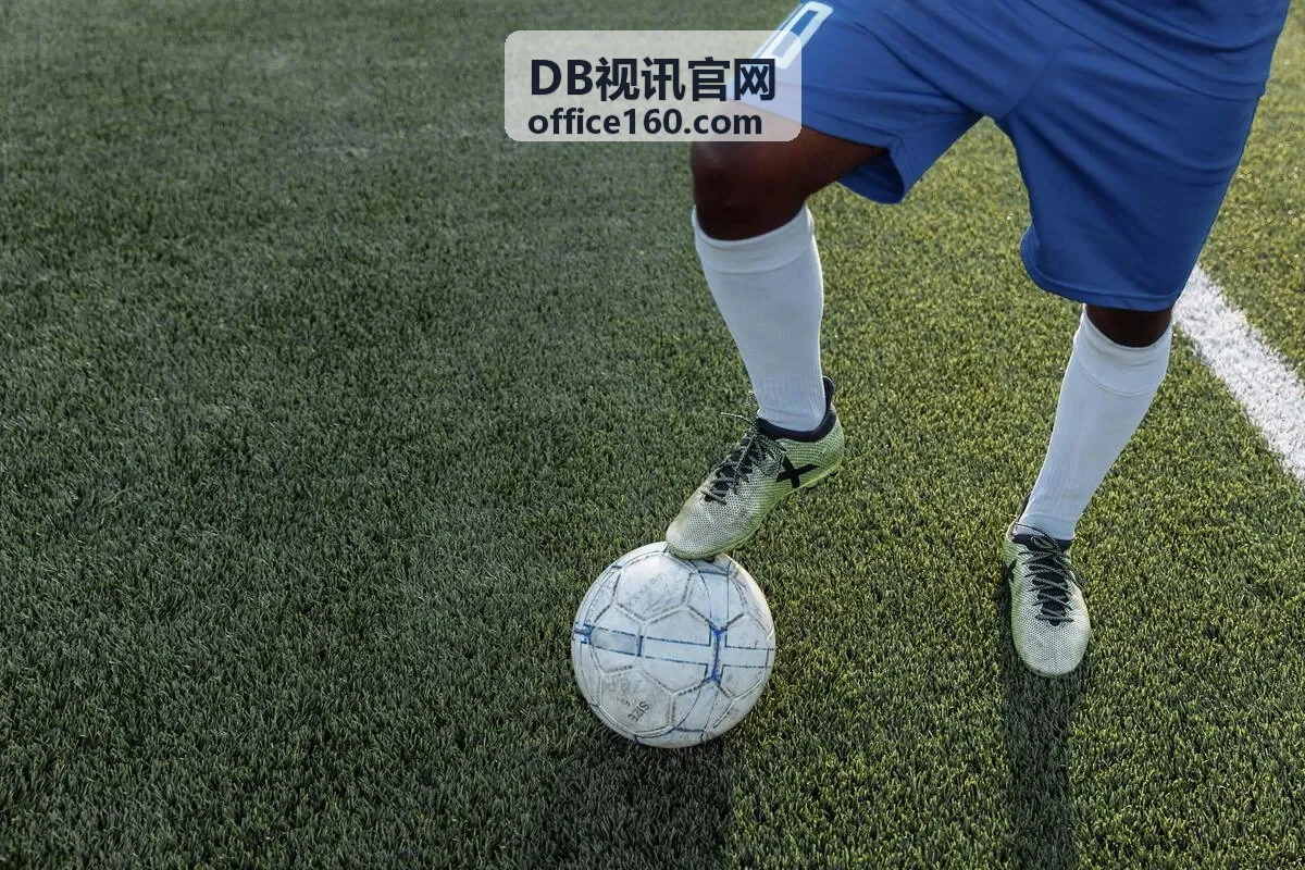 DB视讯监控集成